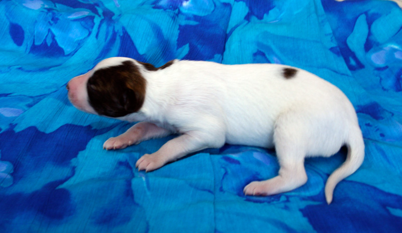 Surf Spots Boy 1 Head UP